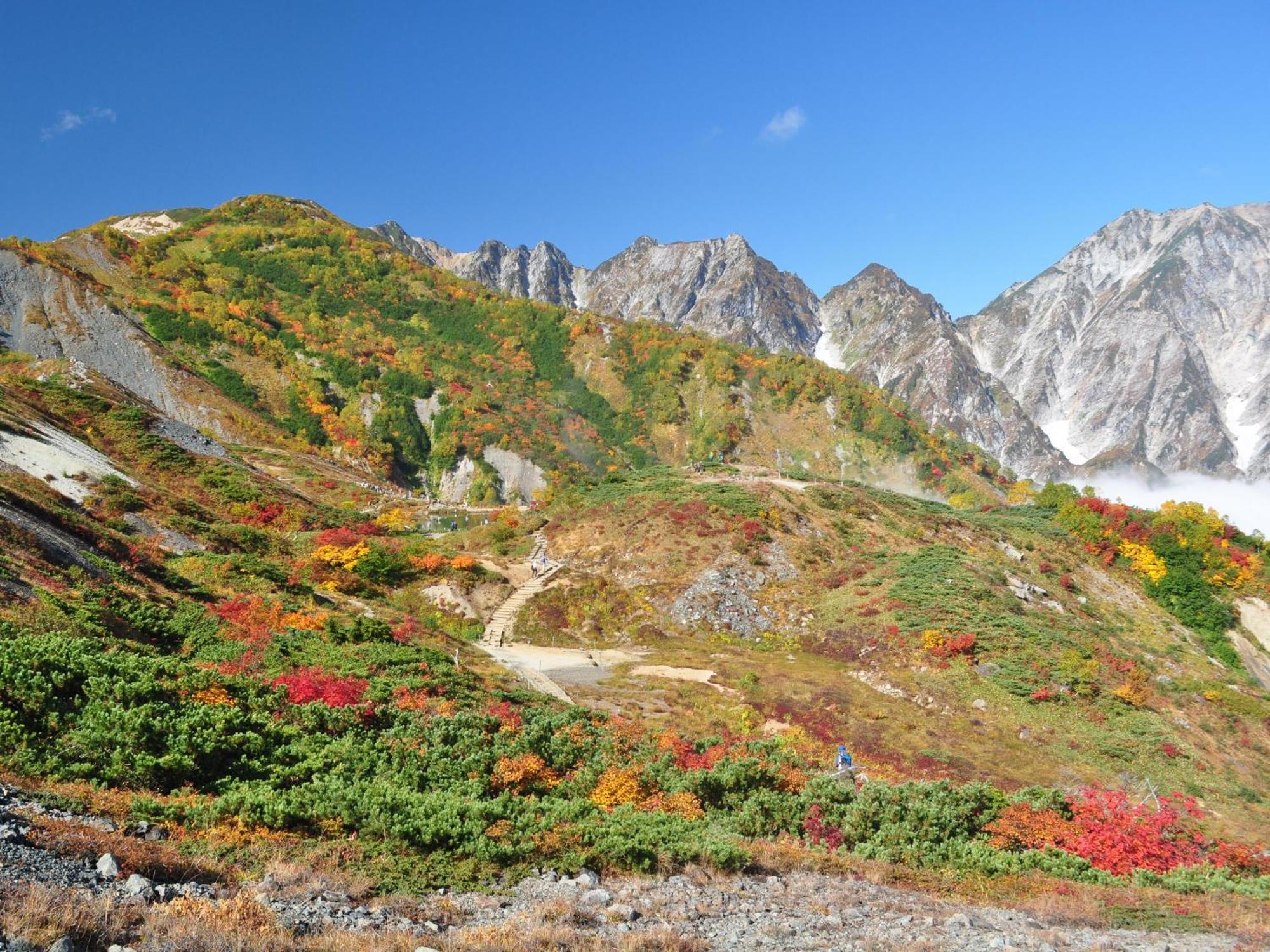 Kudo'S Lodge Hakuba Exterior photo